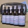 Herbal Immune Boost Tincture Kit