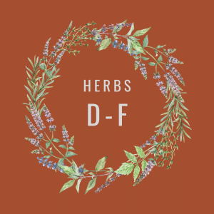 Herbs D-F