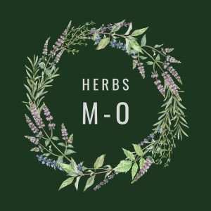 Herbs M-O