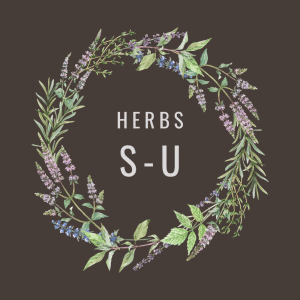Herbs S-U
